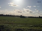 Šiaulių r. sav., Ginkūnų sen., Malavėniukų k. - nuotraukos Nr. 19