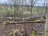 Namų valdos sklypas šalia Golfo laukų. 10 a. - nuotraukos Nr. 5