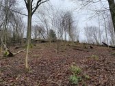 Namų valdos sklypas šalia Golfo laukų. 10 a. - nuotraukos Nr. 7