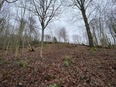 Namų valdos sklypas šalia Golfo laukų. 10 a. - nuotraukos Nr. 11