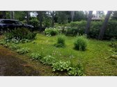 Parduodamas butas kurortinėje Kulautuvoje, - nuotraukos Nr. 5