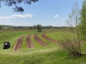 Parduodamas 30 hektarų žemes sklypas, obuolių - nuotraukos Nr. 2