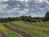 Parduodamas 30 hektarų žemes sklypas, obuolių - nuotraukos Nr. 11