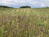 Parduodamas 30 hektarų žemes sklypas, obuolių - nuotraukos Nr. 14