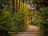 Parduodamas Dizainerės Kurtas Šeimos Namas Su - nuotraukos Nr. 32