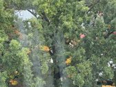 Parduodamas Erdvus Neįrengtas Butas - nuotraukos Nr. 4
