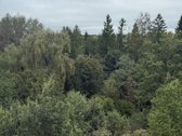 Parduodamas Erdvus Neįrengtas Butas - nuotraukos Nr. 6