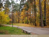 Kviečiame Į Atvirus Namus Spalio 14 D. - nuotraukos Nr. 23
