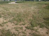Parduodamas pasirinktinai vienas iš dviejų - nuotraukos Nr. 4