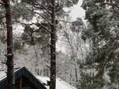 Ieškote namų gamtos apsuptyje, tačiau - nuotraukos Nr. 6