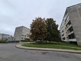 Butas Po Pilnos Renovacijos – Laukia - nuotraukos Nr. 17