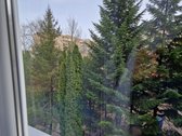 Parduodami 5 Pilnai Įrengti Ir Išnuomoti - nuotraukos Nr. 9