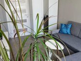 Parduodamas 46.24m2+ balkonas 5.11m2 ploto - nuotraukos Nr. 2