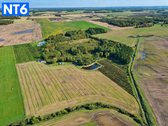 Perspektyvus Šilauogių Ūkis – 3,85 Ha Sklypas - nuotraukos Nr. 2