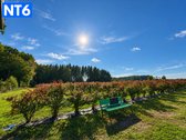 Perspektyvus Šilauogių Ūkis – 3,85 Ha Sklypas - nuotraukos Nr. 12