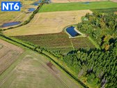 Perspektyvus Šilauogių Ūkis – 3,85 Ha Sklypas - nuotraukos Nr. 5