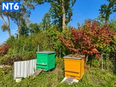 Perspektyvus Šilauogių Ūkis – 3,85 Ha Sklypas - nuotraukos Nr. 22