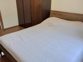 # Nuomojamas jaukus 3 kambarių namas su - nuotraukos Nr. 25