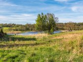  – Nt ekspertai be procentų - nuotraukos Nr. 10