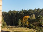 Erdvus 4 Kambarių Butas Prie Miško – - nuotraukos Nr. 15