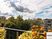  – Nt ekspertai be procentų - nuotraukos Nr. 12