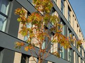 2 Kambarių Butas Su Privačia Terasa  53,69 - nuotraukos Nr. 17