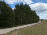 Parduodamas sklypas Trakų raj. Šventininkų k. - nuotraukos Nr. 5