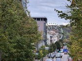 Nuomojamas labai tvarkingas, erdvus, jaukus 4 - nuotraukos Nr. 23