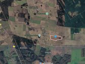  Nuomojamas  11,93 ha žemės ūkio paskirties - nuotraukos Nr. 2