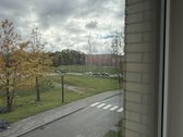 Nuomojamas Naujas 3 Kambarių Butas "Danės - nuotraukos Nr. 33