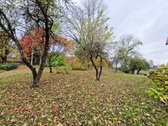 Jaukiame Ežerų, Miškų Ir Kalvų Apsuptame - nuotraukos Nr. 15
