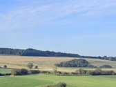 Parduodamas 1,75 Ha Sklypas Prie Strėvos Upės - nuotraukos Nr. 6