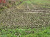 Parduodamas namų valdos sklypas, nuostabioje - nuotraukos Nr. 2