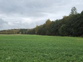 Parduodamas namų valdos sklypas, nuostabioje - nuotraukos Nr. 3