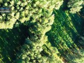 Parduodamas Žemės Sklypas Druskininkuose, - nuotraukos Nr. 7