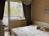Alytaus m. sav., Alytaus m., Vidzgiris - nuotraukos Nr. 4