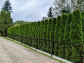 Parduodamas sodas 6,19aro su vasarnamiu - nuotraukos Nr. 2