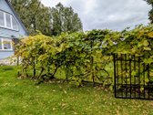 Parduodamas sodas 6,19aro su vasarnamiu - nuotraukos Nr. 5