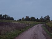 Parduodami Namų Valdos Sklypai Didžiosiose - nuotraukos Nr. 2