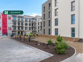 Šiuo metu projekte „Bajorų alėjos“ – rudens - nuotraukos Nr. 16