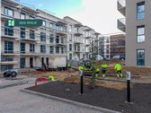 Šiuo metu projekte „Bajorų alėjos“ – rudens - nuotraukos Nr. 17