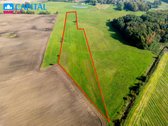 Parduodama prižiūrėta sodyba 3,5 ha sklype - nuotraukos Nr. 8