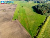 Parduodama prižiūrėta sodyba 3,5 ha sklype - nuotraukos Nr. 9