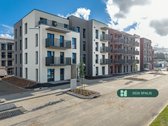Šiuo metu projekte „Bajorų alėjos“ – rudens - nuotraukos Nr. 7