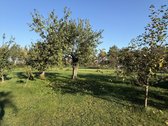 Parduodama Sodyba Virbalyje, Kalno G. 4 - nuotraukos Nr. 20