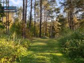 Parduodama Sodyba Su Dviem Gretimais Sklypais - nuotraukos Nr. 11