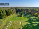 Parduodama Sodyba Su Dviem Gretimais Sklypais - nuotraukos Nr. 16