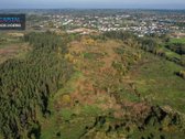 Parduodamas 80,86 arų sklypas Zujūnų sen., - nuotraukos Nr. 6