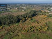 Parduodamas 80,86 arų sklypas Zujūnų sen., - nuotraukos Nr. 10