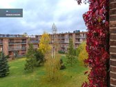 Nuomojamas Erdvus 3 Kambarių Butas Su - nuotraukos Nr. 13